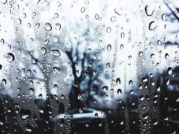 View of trees against sky seen through window