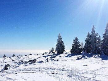 Snow covered landscape against clear blue sky