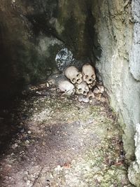 High angle view portrait of woman in rock