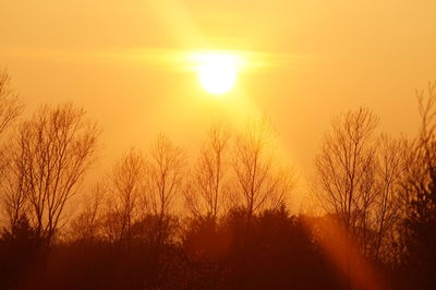 Sunset over field