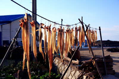 Clothes drying on rope against clear sky