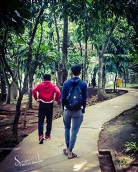 Rear view of people walking on footpath amidst trees