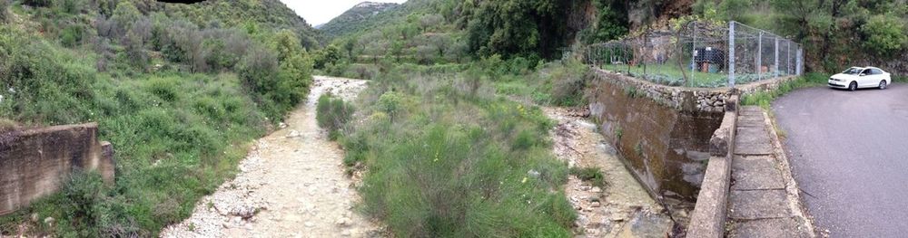 Scenic view of landscape with mountain in background