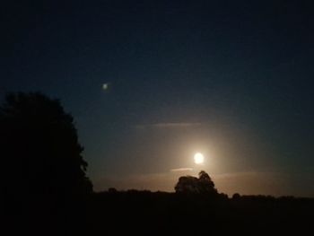 Silhouette trees against sky at night