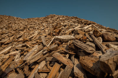 Close-up of wood