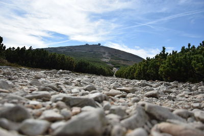 Surface level of pebble land against sky