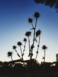 Low angle view of silhouette trees against sky during sunset