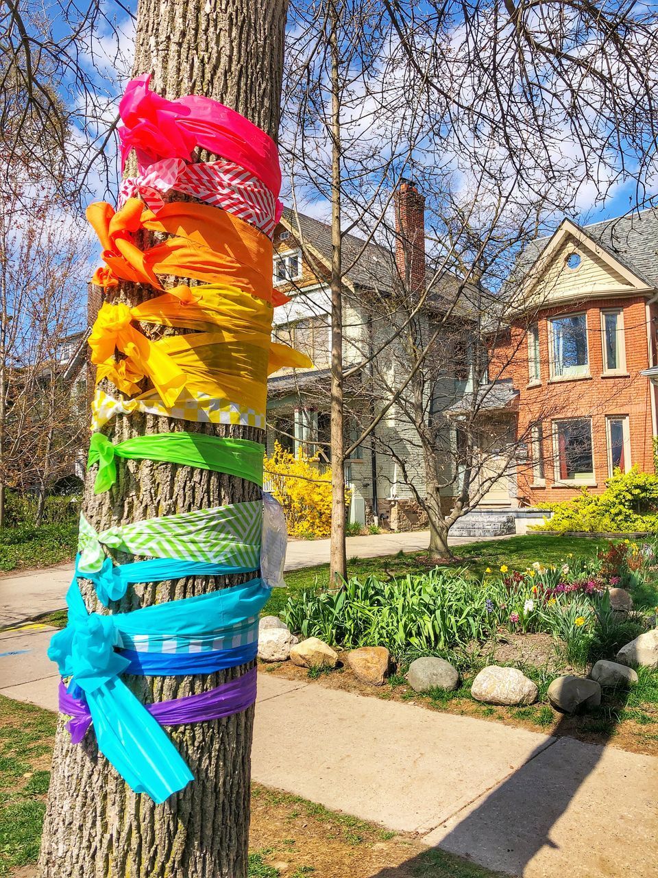 MULTI COLORED TREE OUTSIDE BUILDING