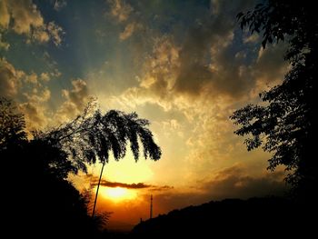 Low angle view of silhouette trees against sky during sunset