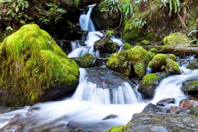 Scenic view of waterfall