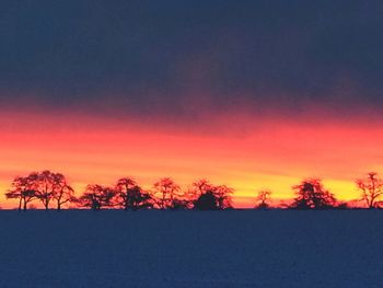 Silhouette of trees at sunset