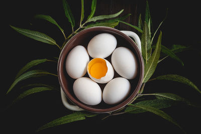 High angle view of eggs in bowl with leaves on black background