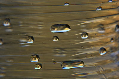 Full frame shot of bubbles