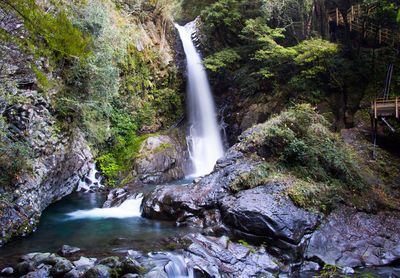 View of waterfall in forest