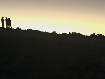 Silhouette trees against sky during sunset