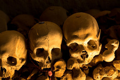 Close-up of human skulls