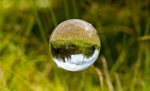 Glass ball floats between blades of grass with mirrored trees and cloudy sky