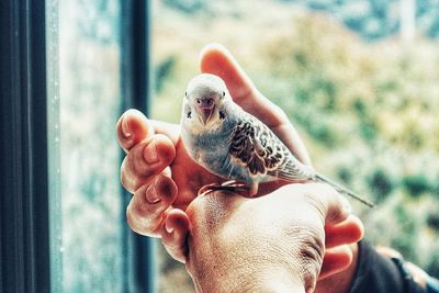 human hand