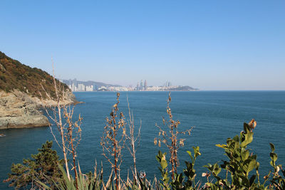 Scenic view of sea against clear blue sky