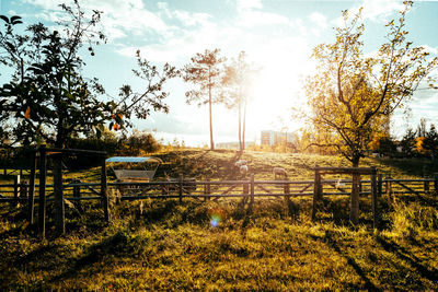 Trees on field against sky