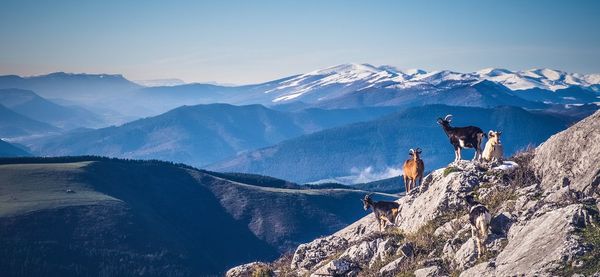 Panoramic view of people on snowcapped mountain against sky