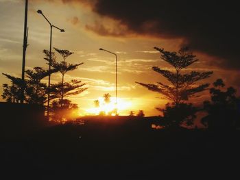 Silhouette trees against sky during sunset