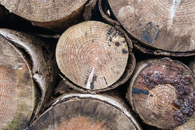 Full frame shot of logs in forest