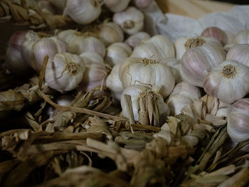 Close-up of garlic