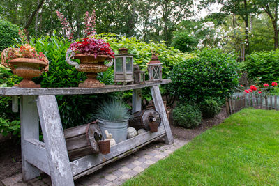 View of plants in garden