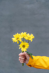 Cropped hand of woman holding yellow flower