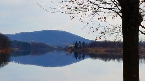 Scenic view of lake by trees against sky