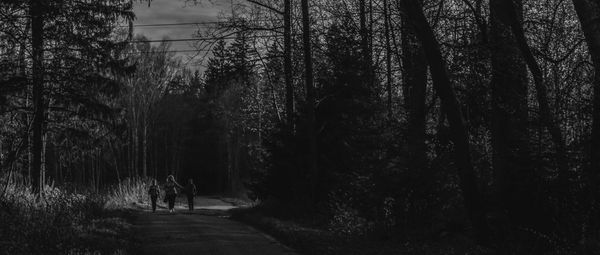 Rear view of people walking on road in forest