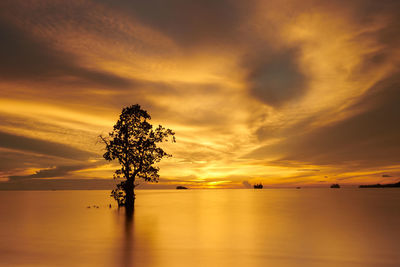 Golden sunset is one of the most beautiful moments on earth.