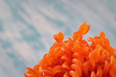 Red lentils noodles as close up with light blue background