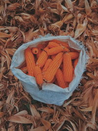 High angle view of orange leaves on field