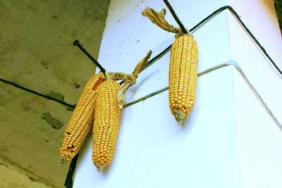 Close-up of food