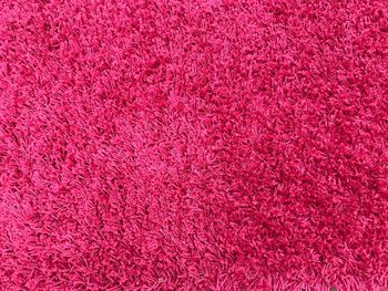 Full frame shot of carpet