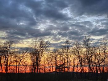 Silhouette bare trees against sky during sunset