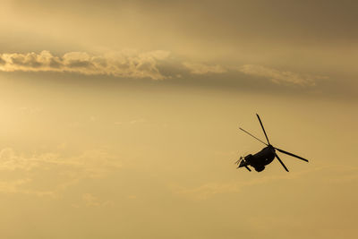 Close-up of silhouette insect against sky during sunset