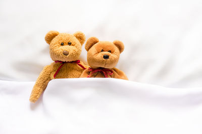 Close-up of stuffed toy against white background