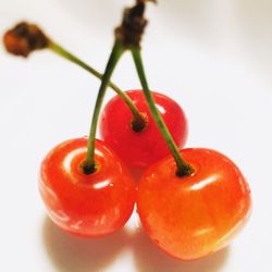 Close-up of red fruit on white background