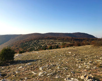 Scenic view of landscape against clear sky