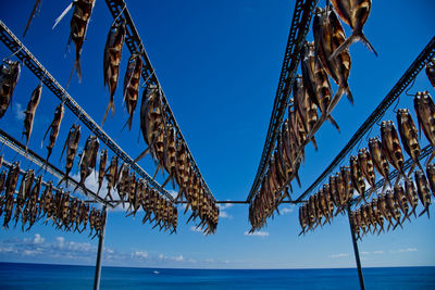 Low angle view of sea against clear blue sky and drying fishes on the shelf in lanyu, taiwan