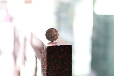 Close-up of a bird perching on metal