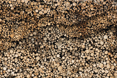 Full frame shot of logs