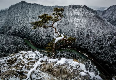 High angle view of snow covered landscape