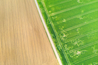 High angle view of agricultural field