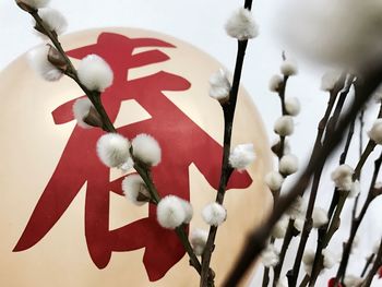 Close up of red decoration