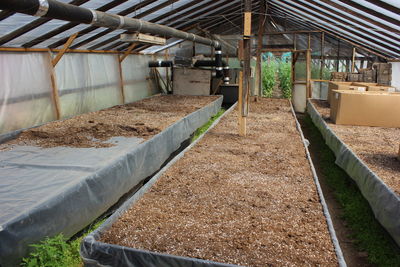 View of railroad tracks in greenhouse