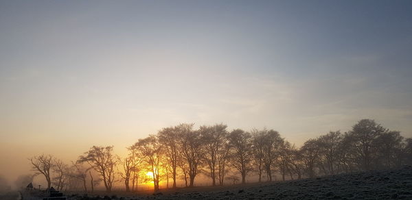 Silhouette bare trees against sky during sunset